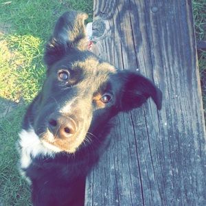 Meet your Posher, Kyile